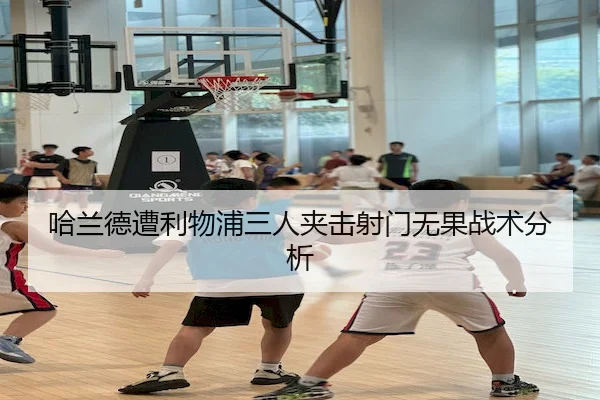 ha-lan-de-zao-li-wu-pu-san-ren-jia-ji-she-men-wu-guo-zhan-shu-fen-xi-2-650.jpg